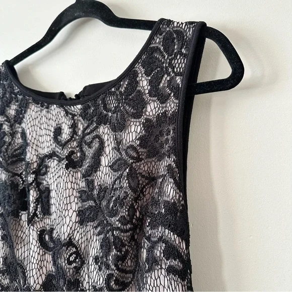 Anthropologie-Deletta Lace Peplum Sleeveless Top (Size:Medium) - Picture 6 of 11